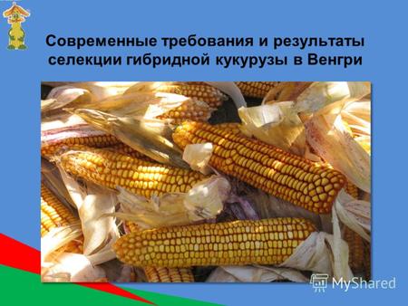 Современные требования и результаты селекции гибридной кукурузы в Венгри.