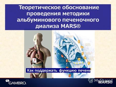 MARS® Как поддержать функцию печени? Теоретическое обоснование проведения методики альбуминового печеночного диализа MARS® ?