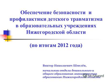 (по итогам 2012 года) Обеспечение безопасности и профилактики детского травматизма в образовательных учреждениях Нижегородской области (по итогам 2012.
