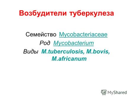 Возбудители туберкулеза Семейство MycobacteriaceaeMycobacteriaceae Род MycobacteriumMycobacterium Виды M.tuberculosis, M.bovis, M.africanum.