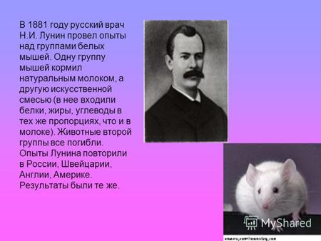 В 1881 году русский врач Н.И. Лунин провел опыты над группами белых мышей. Одну группу мышей кормил натуральным молоком, а другую искусственной смесью.