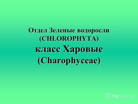 Отдел Зеленые водоросли (CHLOROPHYTA) класс Харовые (Charophyceae)