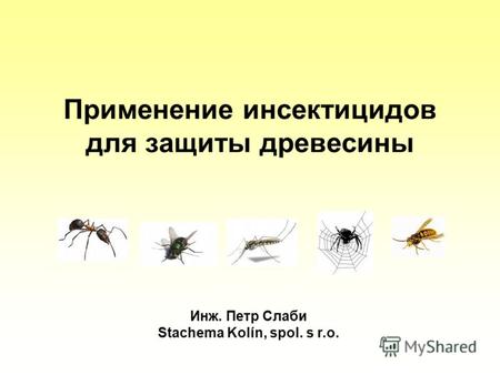 Применение инсектицидов для защиты древесины Инж. Петр Слаби Stachema Kolín, spol. s r.o.