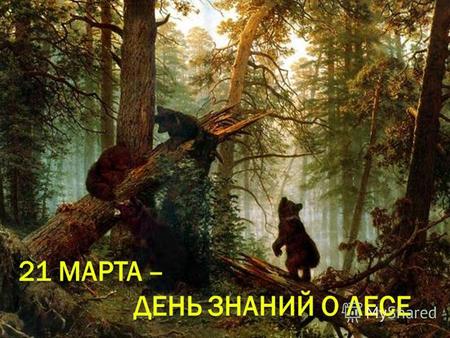 Где растут скрученные в петлю деревья? В Калининградской области есть уникальное место - «Танцующий лес» или «Пьяный лес». Парк «Танцующие берёзы» расположен.