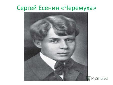 Сергей Есенин «Черемуха». Сергей Александрович Есенин (1895-1925гг.)