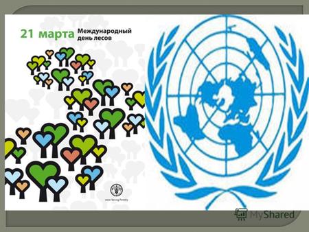 Начиная с 2013 года Международный день лесов ООН будут отмечать во всех странах мира. В резолюции ООН отмечается чрезвычайная важность повышения осведомленности.