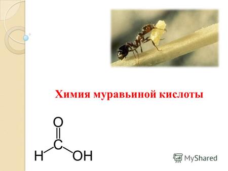 Химия муравьиной кислоты. 39 8 245 67 Строение1 Нахождение в природе Физические свойства Действие на организм Применение Номенклатура Получение Химические.