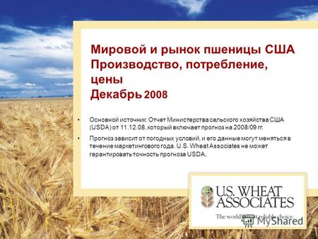 Мировой и рынок пшеницы США Производство, потребление, цены Декабрь 2008 Основной источник: Отчет Министерства сельского хозяйства США (USDA) от 11.12.08,