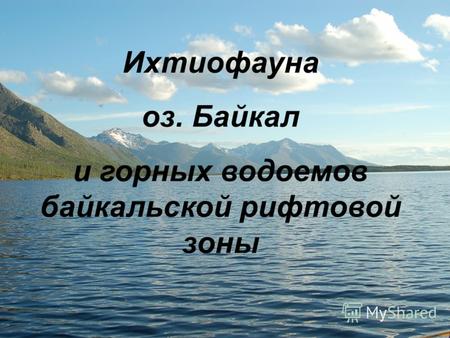 Ихтиофауна оз. Байкал и горных водоемов байкальской рифтовой зоны.