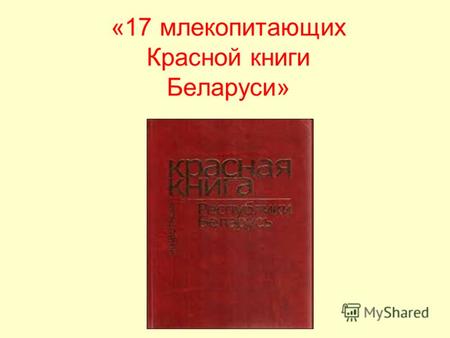 «17 млекопитающих Красной книги Беларуси». Европейский зубр. Пожалуй, самое известное млекопитающее Беларуси.