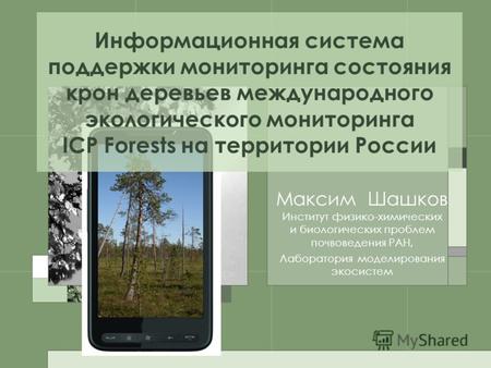 Информационная система поддержки мониторинга состояния крон деревьев международного экологического мониторинга ICP Forests на территории России Максим.