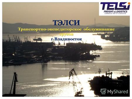 ТЭЛСИ Транспортно-экспедиторское обслуживание грузов г.Владивосток.