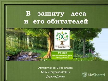 В защиту леса и его обитателей Автор: ученик 7 «а» класса МОУ «Тогурская СОШ» Дудкин Данил.