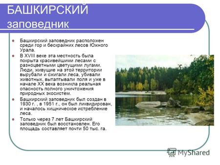 БАШКИРСКИЙ заповедник Башкирский заповедник расположен среди гор и бескрайних лесов Южного Урала. В XVIII веке эта местность была покрыта красивейшими.