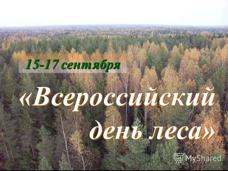 15-17 сентября «Всероссийский день леса». Леса неодинаковы на разных континентах: Где-то растут хвойные леса с примесью лиственных!