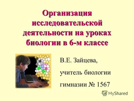 Организация исследовательской деятельности на уроках биологии в 6-м классе В.Е. Зайцева, учитель биологии гимназии 1567.