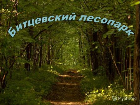Природно-исторический парк «Битцевский лес» – это вторая по величине особо охраняемая природная территория в Москве. Парк был создан по инициативе жителей.