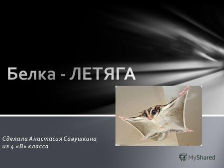 Сделала Анастасия Савушкина из 4 «В» классаБелка-летяга внешне похожа на небольшую короткоухую белку, но между передними и задними ногами у неё имеется.