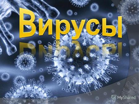1892 г. русский ученый Д. И. Ивановский открыл вирус табачной мозаики Вирус в переводе с латинского virus означает яд.
