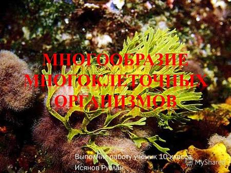 Выполнил работу ученик 10 класса Исянов Руслан. Характерными признаками любого многоклеточного организма (в том числе и животного) являются качественные.