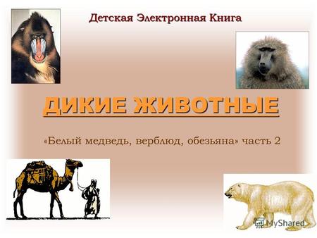 ДИКИЕ ЖИВОТНЫЕ ДИКИЕ ЖИВОТНЫЕ «Белый медведь, верблюд, обезьяна» часть 2 Детская Электронная Книга.