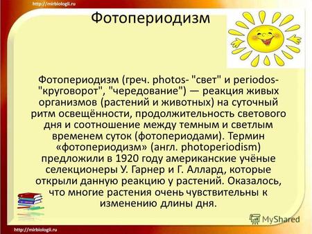Фотопериодизм Фотопериодизм (греч. photos- свет и periodos- круговорот, чередование) реакция живых организмов (растений и животных) на суточный ритм.