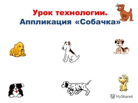 Урок технологии. Аппликация «Собачка». В настоящее время существует более 400 пород собак: служебные охотничьи комнатно-декоративные.