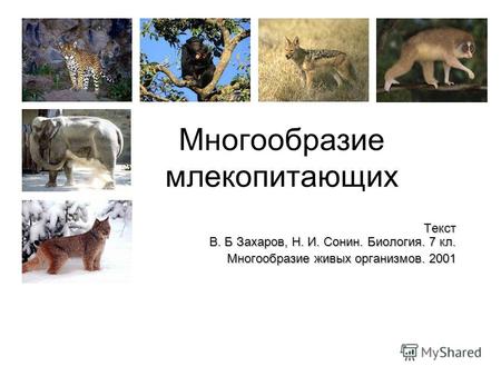Многообразие млекопитающих Текст В. Б Захаров, Н. И. Сонин. Биология. 7 кл. Многообразие живых организмов. 2001.