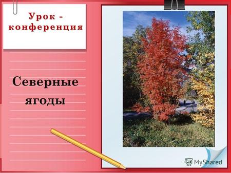 Урок - конференция Северные ягоды Растения Мурманской области.