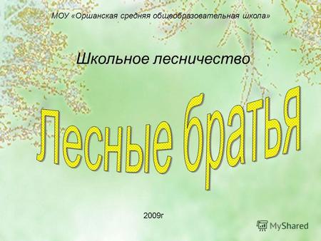 МОУ «Оршанская средняя общеобразовательная школа» Школьное лесничество 2009г.