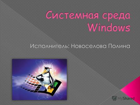 Windows поддерживает современное оборудование и обеспечивает пользователю удобные правила работы.