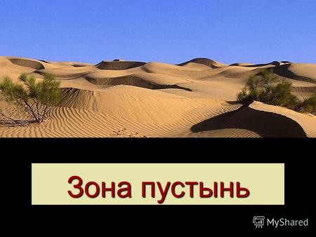 Зона пустынь. В России полупустыни и пустыни занимают небольшую площадь. Они расположены около КАСПИСКОГО МОРЯ и на юге Восточной Сибири.