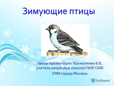 Зимующие птицы Автор презентации: Калмычкова Е.В., учитель начальных классов ГБОУ СОШ 1980 города Москвы.