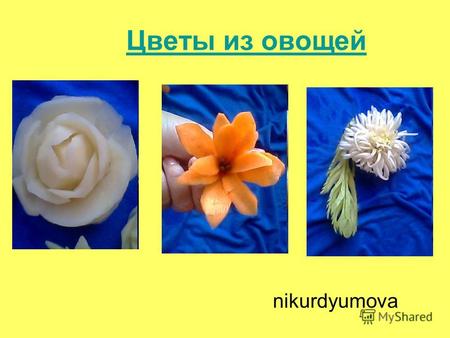 Цветы из овощей nikurdyumova. Астры и розы георгины.