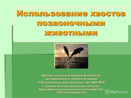 Использование хвостов позвоночными животными Работу выполнила Князева Анастасия, занимающаяся в городском кружке «Удивительный мир природы» при МОУ МУК.