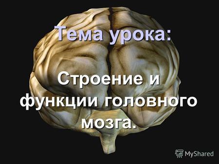 Тема урока: Строение и функции головного мозга.. Где располагается головной мозг? Головной мозг располагается в полости черепа.