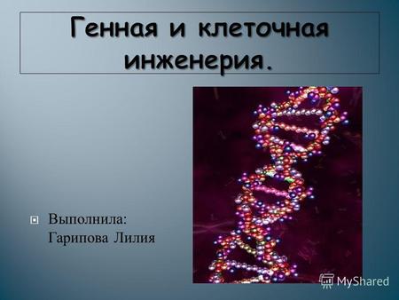Выполнила : Гарипова Лилия. Генная инженерия это метод биотехнологии, который занимается исследованиями по перестройке генотипов.