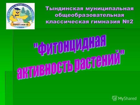 Тындинская муниципальная общеобразовательная классическая гимназия 2.