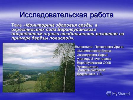 Мониторинг здоровья среды в окрестностях села Верхнеусинского посредством оценки стабильности развития на примере берёзы повислой