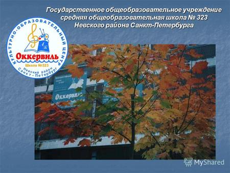 Государственное общеобразовательное учреждение средняя общеобразовательная школа 323 Невского района Санкт-Петербурга.
