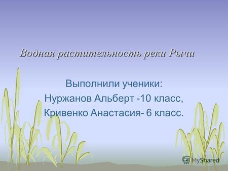 Водная растительность реки Рычи Выполнили ученики: Нуржанов Альберт -10 класс, Кривенко Анастасия- 6 класс.