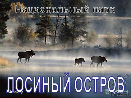 Образован в 1983 г. на территории Москвы и Московской области с целью сохранения природных комплексов, а также оптимизации природопользования, развития.