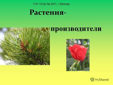Растения- производители ГОУ СОШ 2011, г.Москва. Животные- потребители.