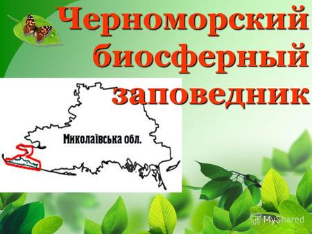 Черноморский биосферный заповедник. Черноморский биосферный заповедник Черноморский биосферный заповедник расположен на территории Херсонской и Николаевской.