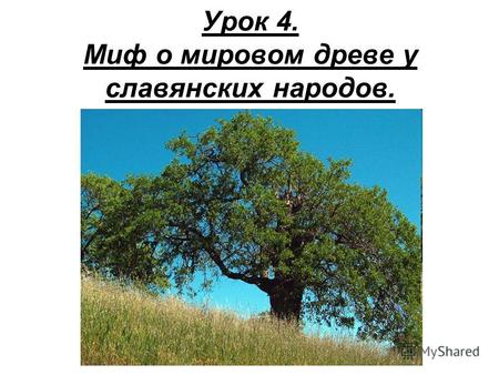 Урок 4. Миф о мировом древе у славянских народов..