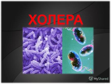 (лат. cholera (греч. cholera, от cholē желчь + rheō течь, истекать)) острая кишечная антропонозная инфекция, вызываемая бактериями вида Vibrio cholerae.