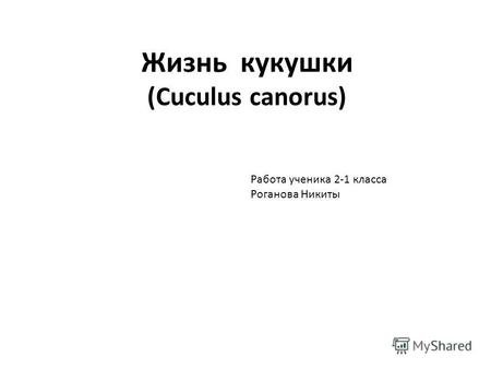 Жизнь кукушки (Cuculus canorus) Работа ученика 2-1 класса Роганова Никиты.