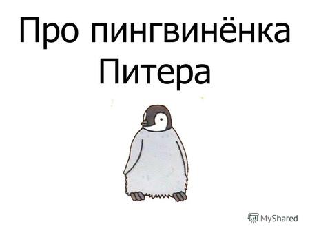 Про пингвинёнка Питера Это пингвин-папа и пингвин-мама.