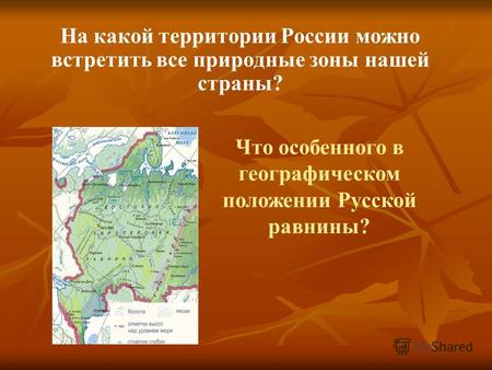 На какой территории России можно встретить все природные зоны нашей страны? Что особенного в географическом положении Русской равнины?