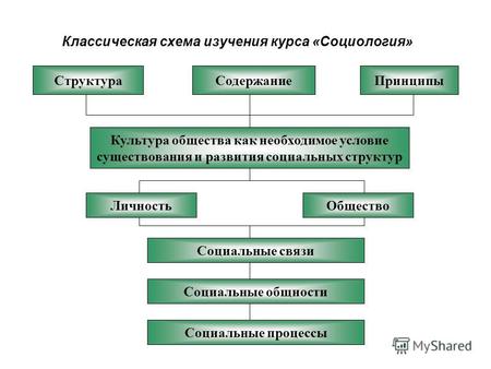 Классическая схема изучения курса «Социология» СтруктураСодержаниеПринципы Культура общества как необходимое условие существования и развития социальных.